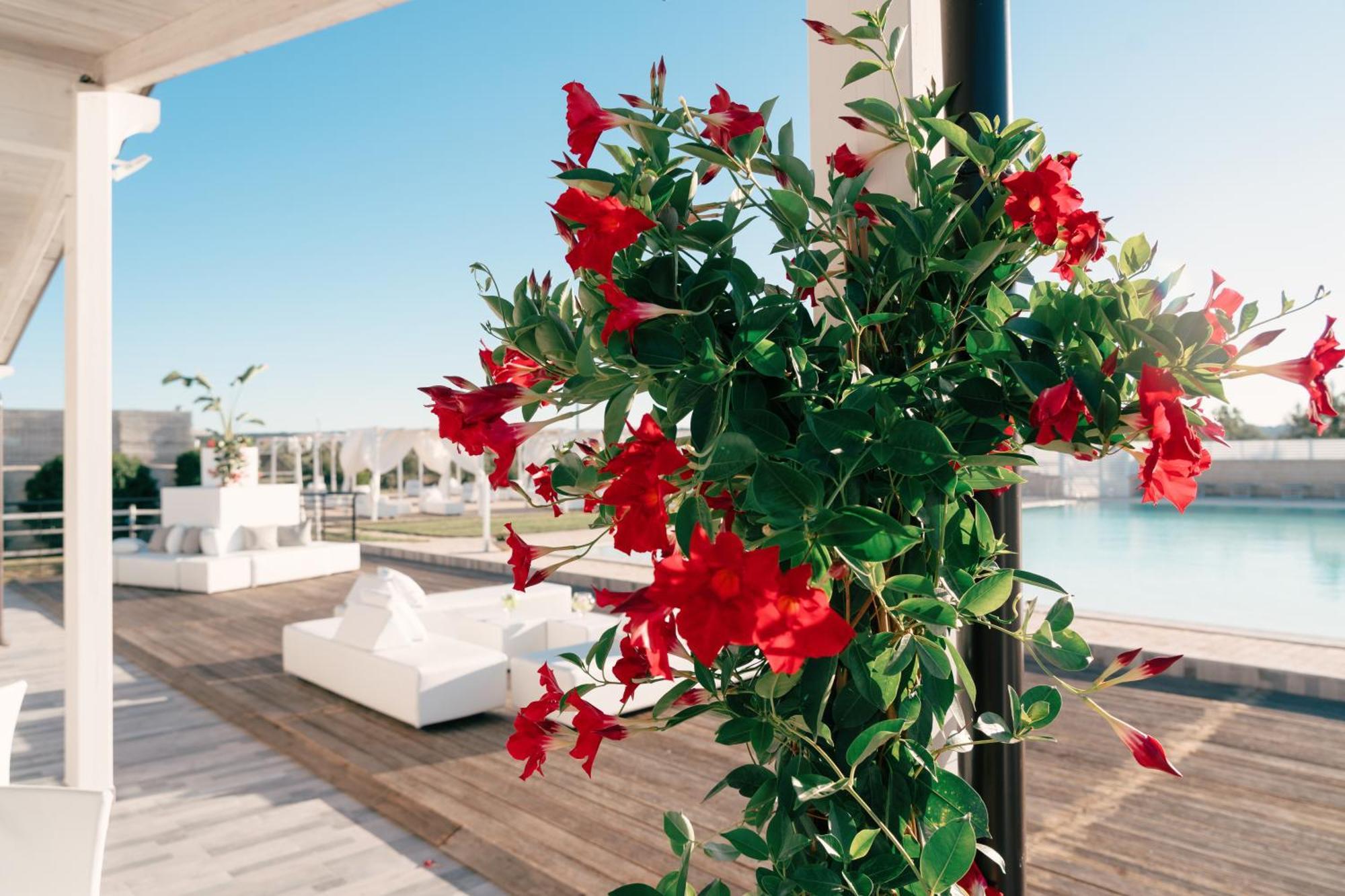 Zyra Garden Club Bed & Breakfast Акуавива деле Фонти Екстериор снимка